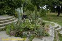 Great Dixter